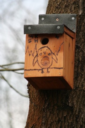 Bird Nesting Box.